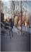 Brandon Arey