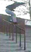 Zack Briggs